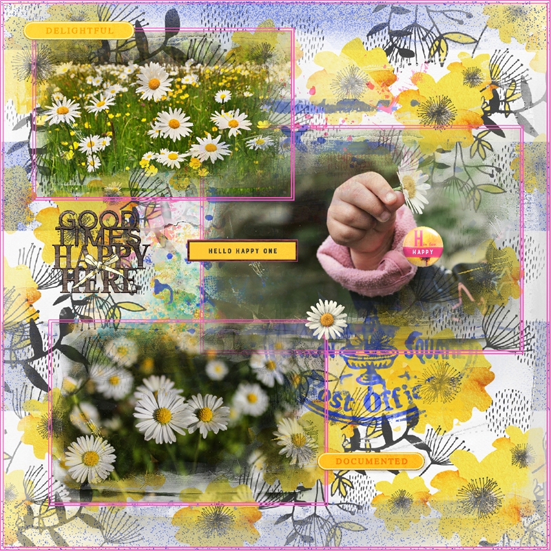 Lynn Grieveson-May-Recipe Challenge-Daisy Days