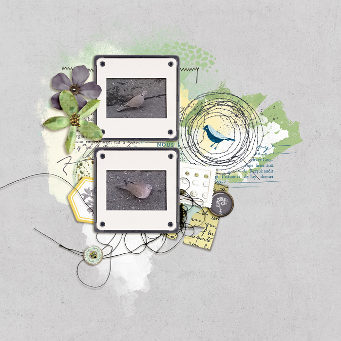 Lynn Grieveson November Featured Products Challenge