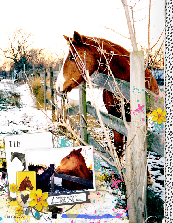 Lynn-Grieveson_2020-08_August_SOSN_0812_Horse_H-is-For,-Worn-Tops,-Instant-Soft-Pop-Frames_web
