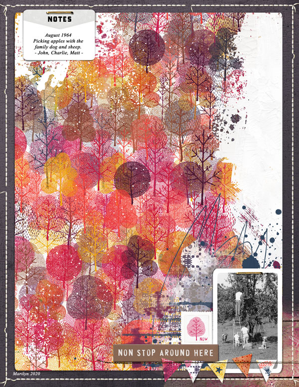 Lynn-Grieveson_2020-09-September_SOSN_0902_Messy-Pockets-Noted_Busy-Days_ApplePicking_web