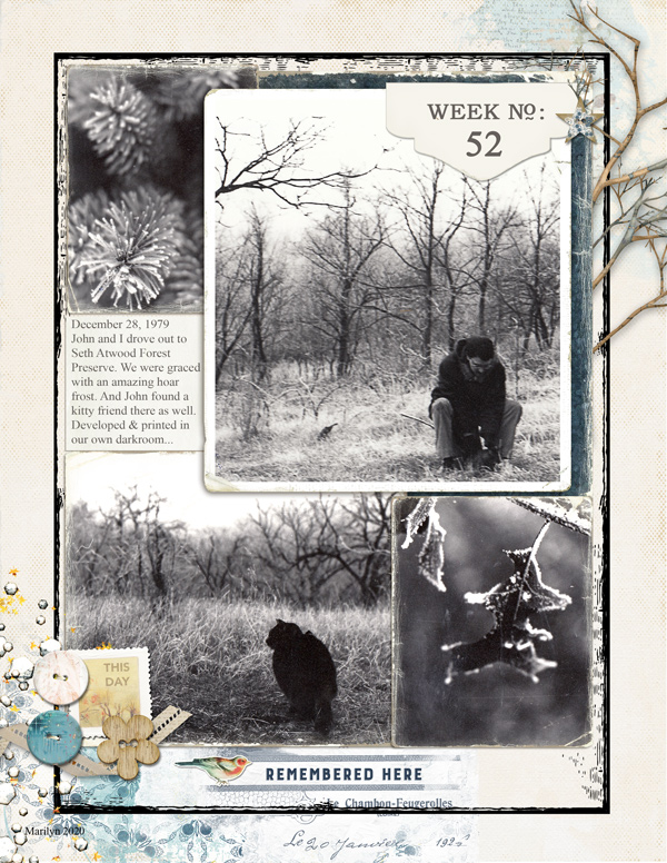 Lynn-Grieveson_2020-12-December_SOSN_1202_Nordland_Worn-Out-Reviews_web