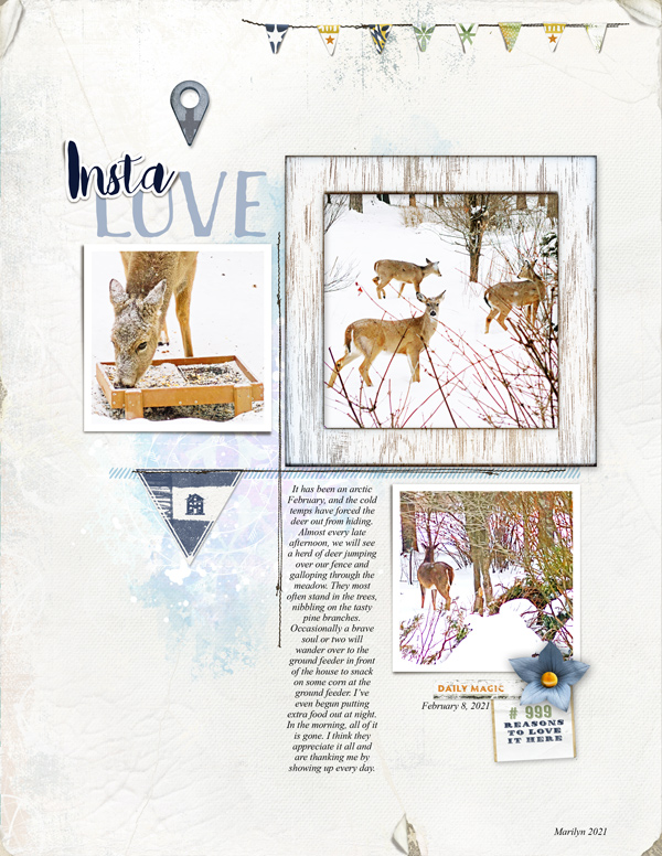 Lynn-Grieveson_2021-02-February_SOSN_0224_InstaLove_WornEdges3_ThisLife_web