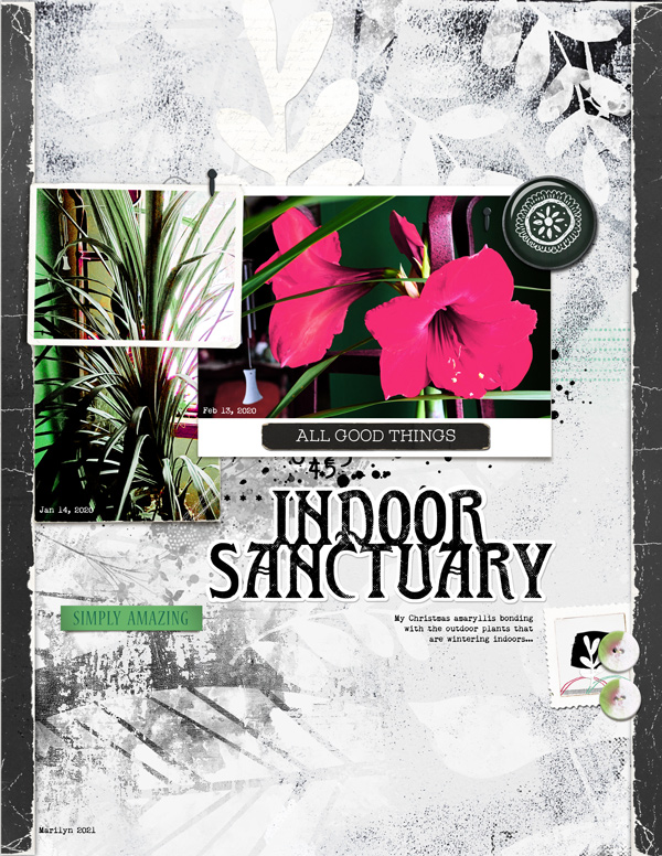 Lynn-Grieveson_2021-03-March_SOSN_0317_Sanctuary_Good-Love-TP_web