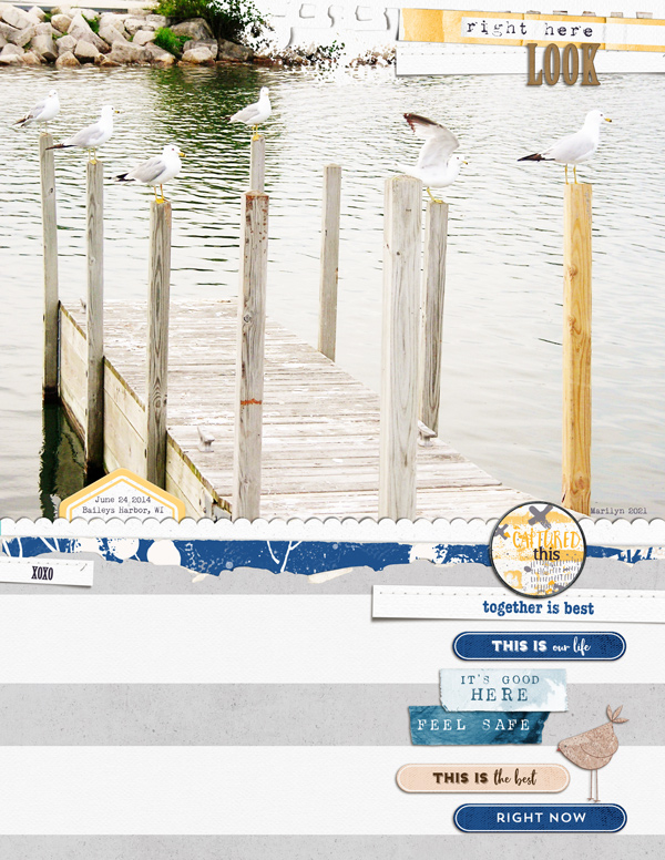 Lynn-Grieveson_2021-04-April_SOSN_0407_Bird-Call_Nesting_HotHotHot-TP_web
