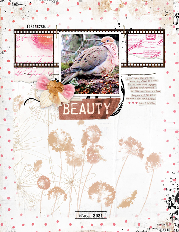 Lynn-Grieveson_2021-04-April_SOSN_0414_Birdseed_Botanical-Mix_Connected-TP_web
