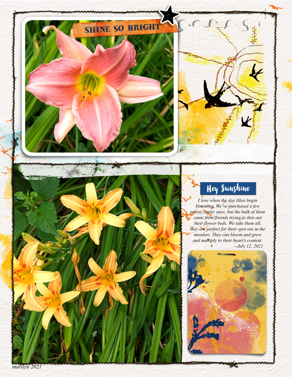 Lynn-Grieveson_2021-07_July_NEW_0723_SunshineCards_MessyPocketsNoted4_web