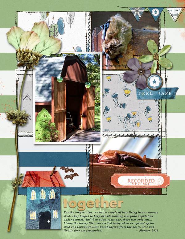 Lynn-Grieveson_2021-10_October_DSD_1002_Prefab-Pockets3_Nest_web