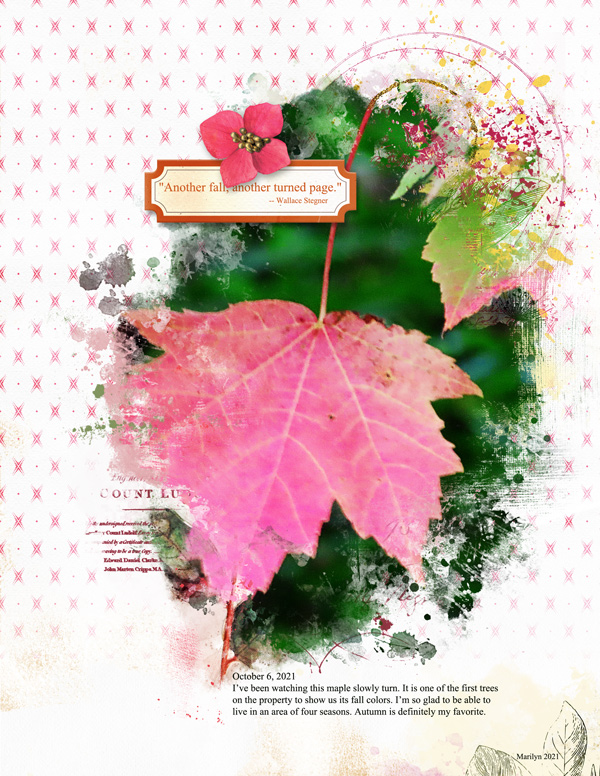 Lynn-Grieveson_2021-10_October_New_1008_Fall-in-a-Mess_web
