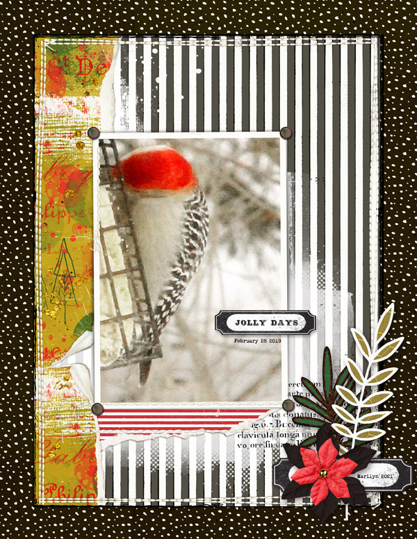 Lynn-Grieveson_2021-12_December_SOSN_1222_Lumi_Springboard8_web