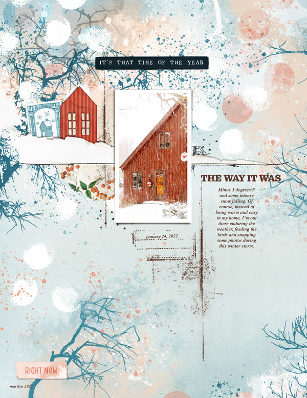Lynn-Grieveson_2022-01-January_New_0128_Homely-TP_web