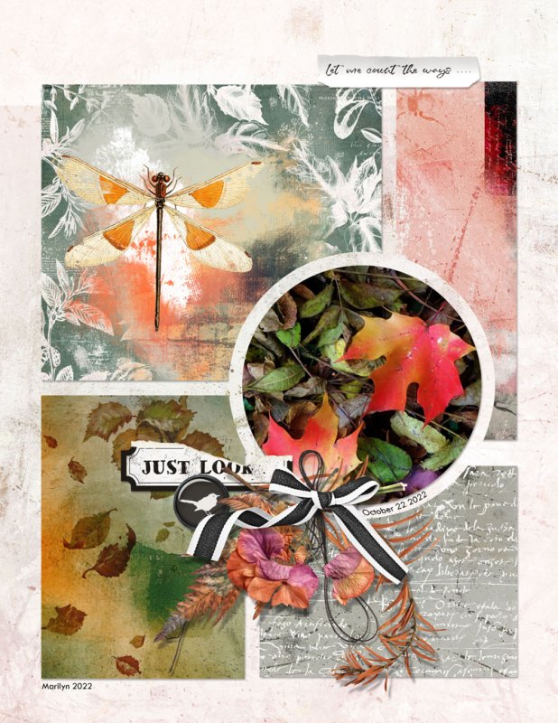 Lynn-Grieveson_2022-11_November_BYOC_1104_Autumna_Inspiration_web