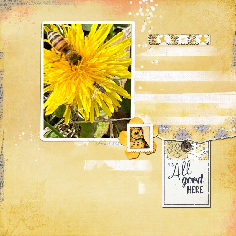 LynnG-Feb-Featured-Prod-Web
