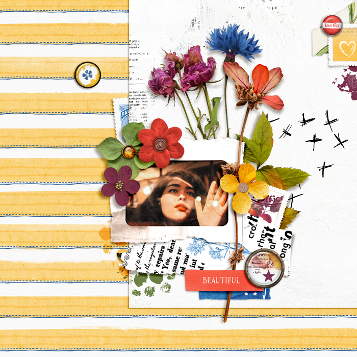 Lynn’s September 2024 Challenge: Color Explosion