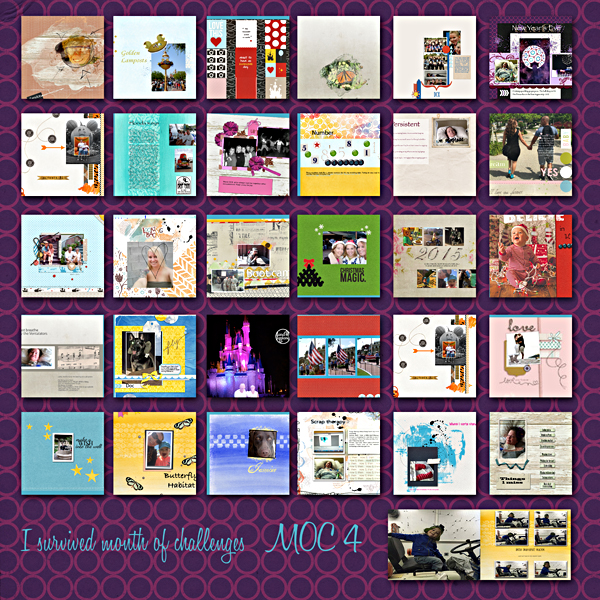 M_Web-1