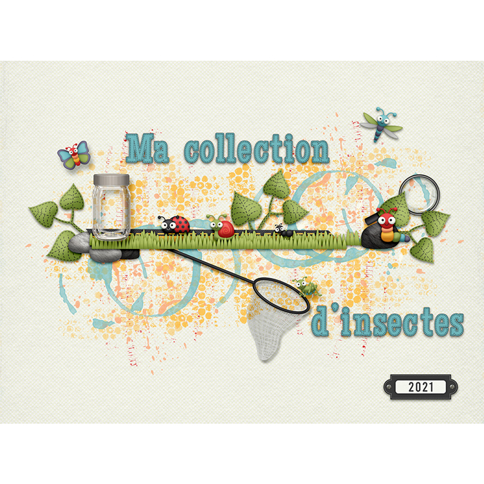 Ma collection d'insectes