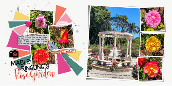 Mabel Ringling's Rose Garden
