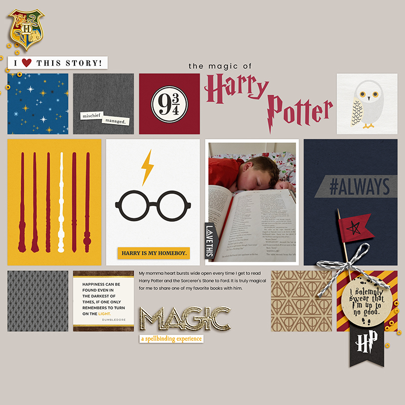 Magic of Harry Potter - PM FANniversary Shadowbox Challenge