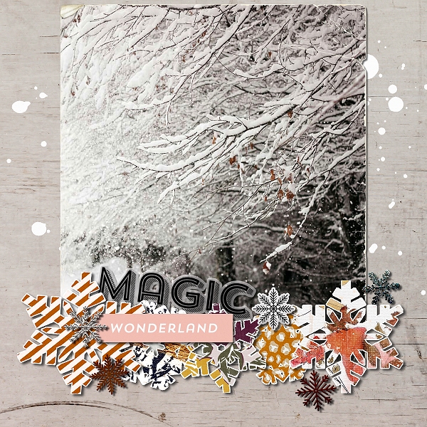 Magic Wonderland (MOC6 Jan27)