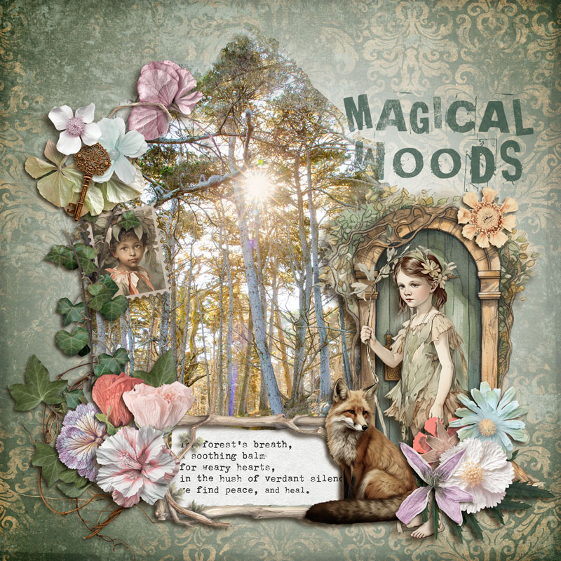 Magical Woods