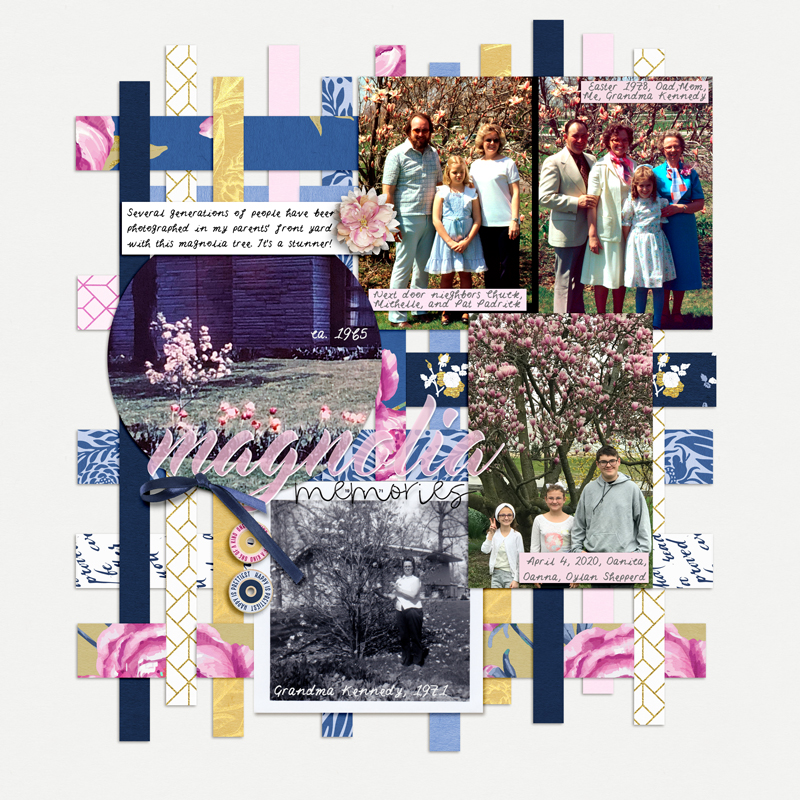Magnolia-Memories