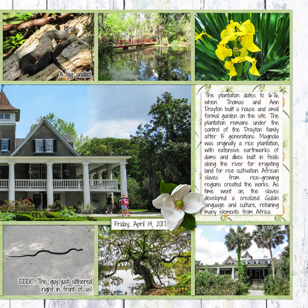 Magnolia Plantation1, right side
