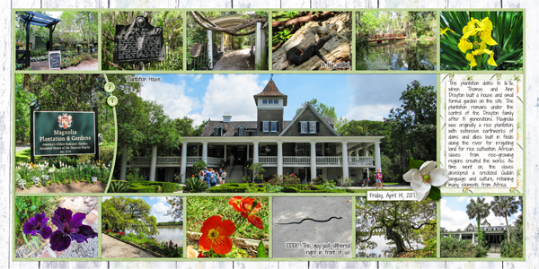 Magnolia Plantation1