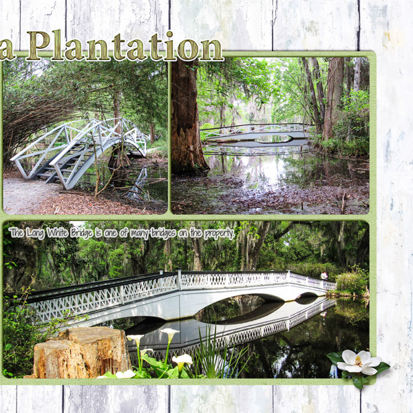 Magnolia Plantation2 Bridges, right side