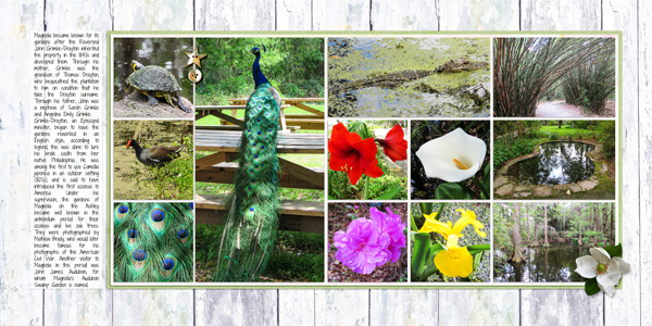 Magnolia Plantation3