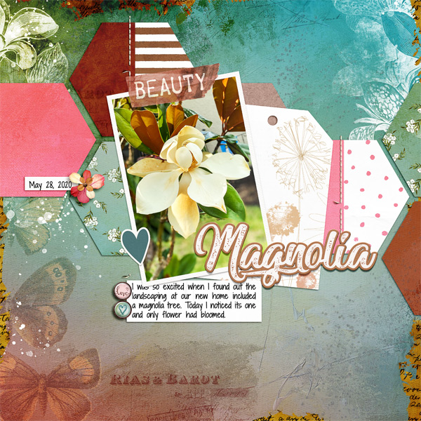 Magnolia
