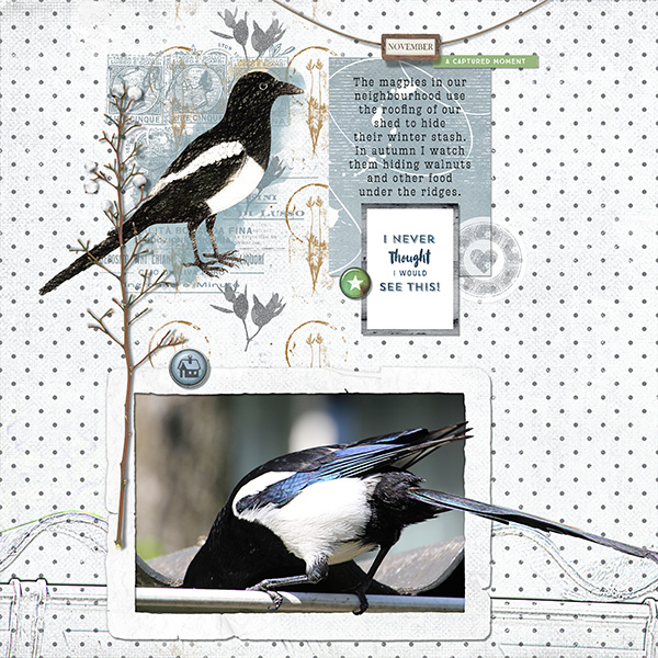 Magpie Stash