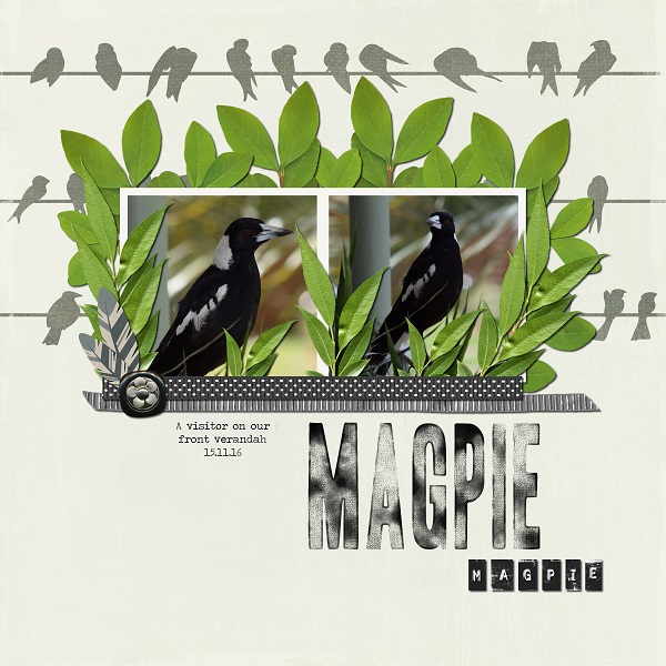 Magpie