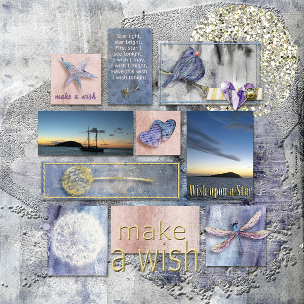 Make-a-Wish
