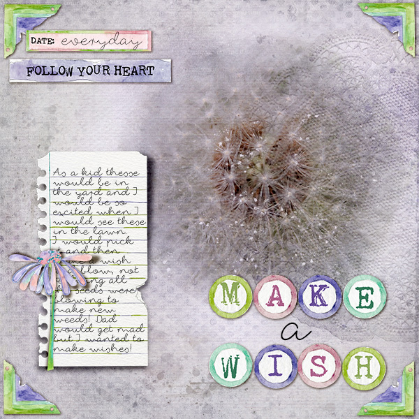 Make a wish