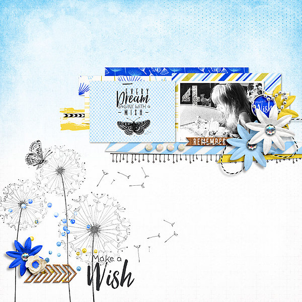 Make-a-Wish