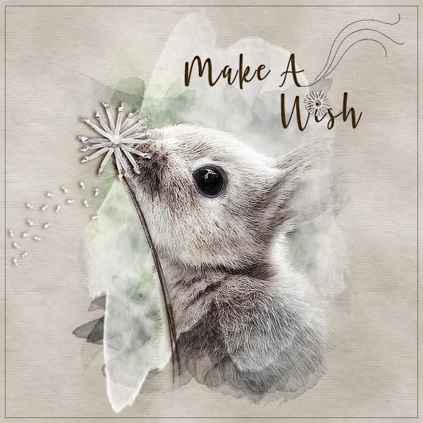 Make a Wish