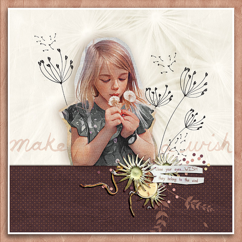 MAKE A WISH
