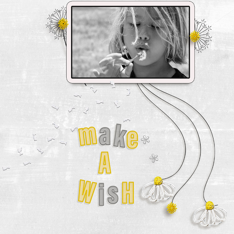 Make a Wish