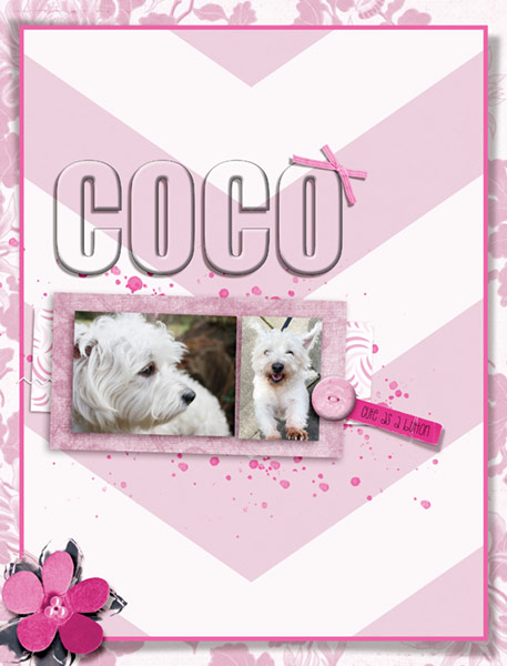 Make is Snappy_04-04-20_Coco_CuteAsAButton