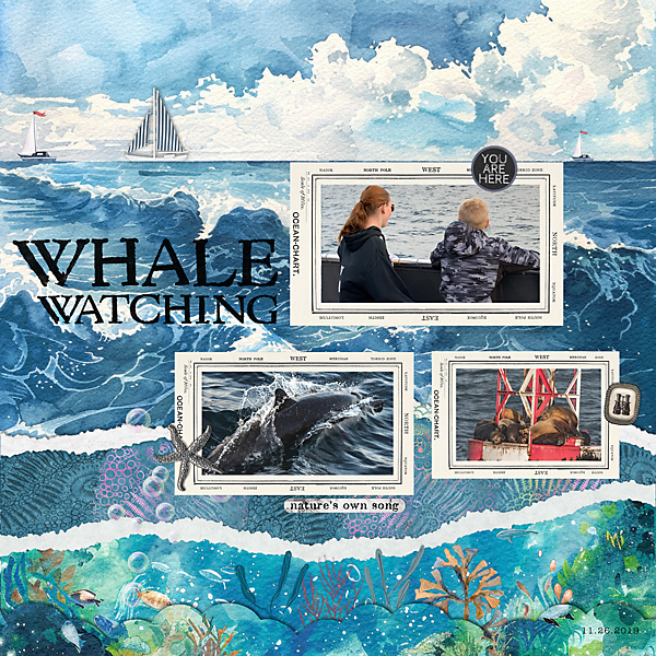 Making Waves Challenge - Whale Watching
