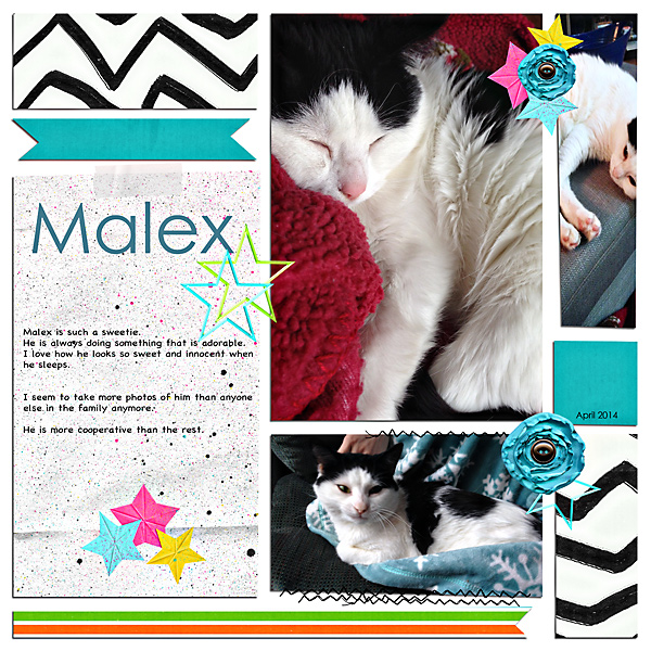 Malex