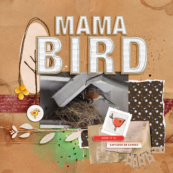 Mama Bird