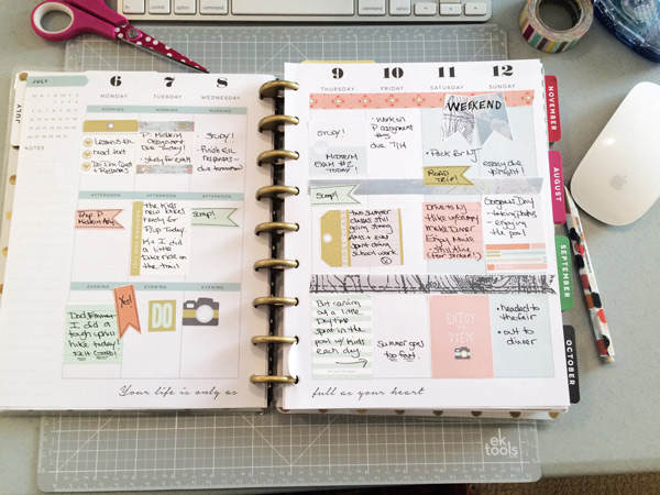 Mambi Planner | Viewpoint MPM
