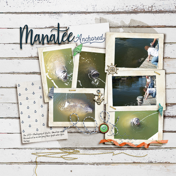 Manatee