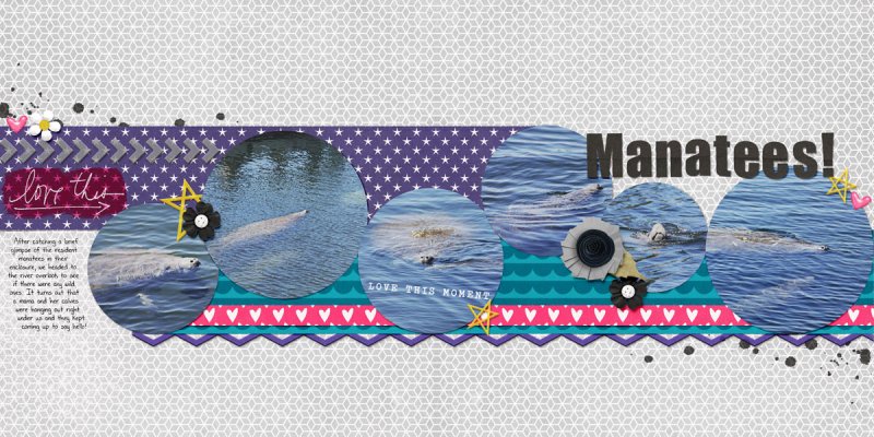 Manatees!