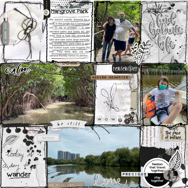 Mangrove park