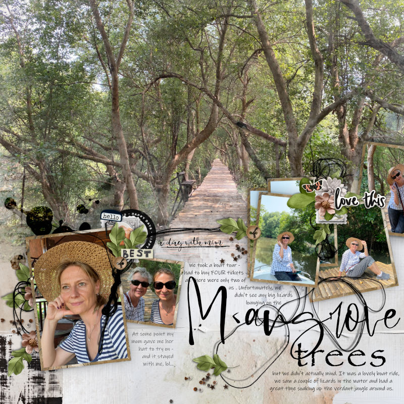Mangrove trees