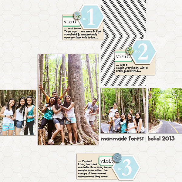 manmade forest