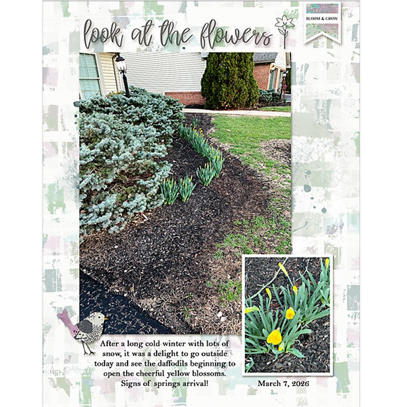 Mar2026_Photography-Chall_flowersgal_sq_web.jpg