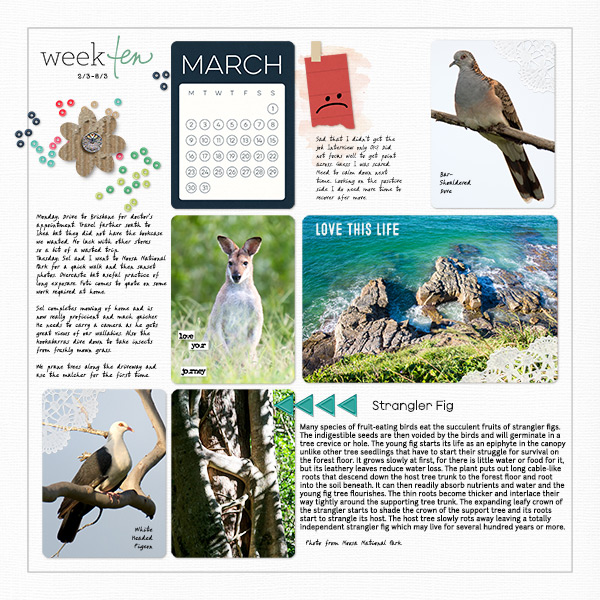 March 1b