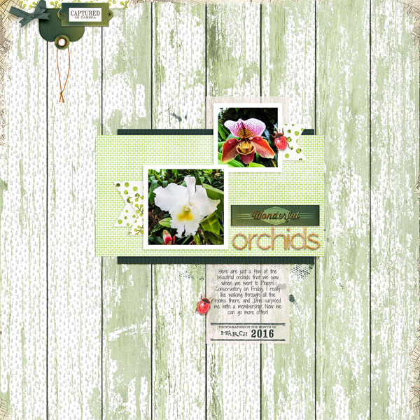 March 2016 Template Challenge